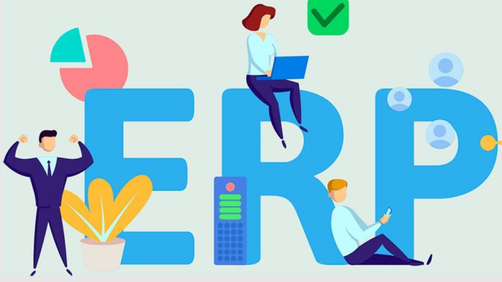 دور الحلول البرمجية المتخصصة في تحسين الكفاءة المالية للشركات؟